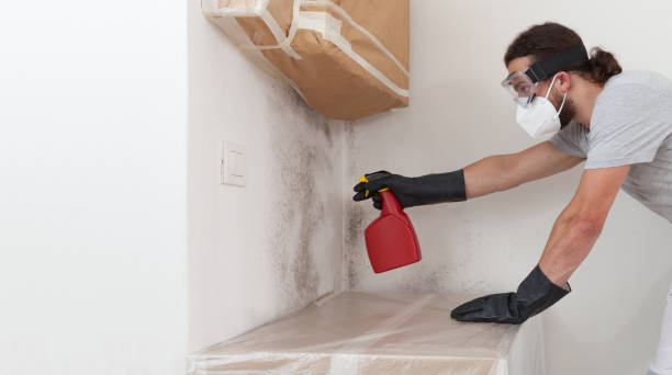 Professional Attic Mold Removal technician working in Dover, MA
