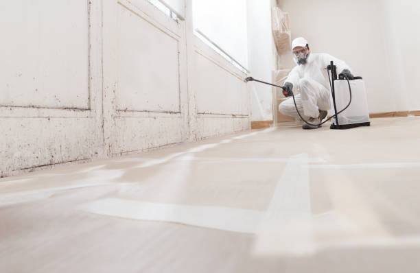 24/7 Emergency Attic Mold Removal experts in Dover, MA