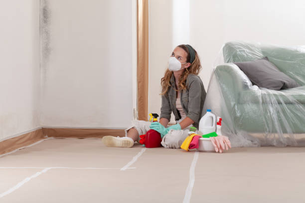 Reliable Attic Mold Removal contractor in Dover, MA by WQB Mold Removal